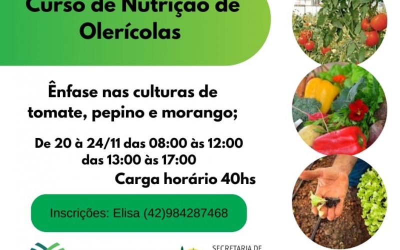 CURSO DE NUTRIÇÃO DE OLERÍCOLAS