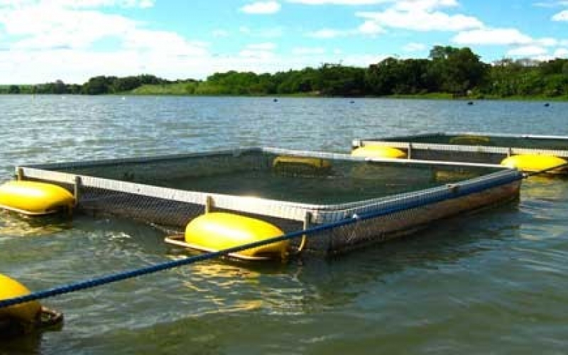 MUNICÍPIO DE RESERVA DO IGUAÇU E AQUAÇU UNEM FORÇAS PARA IMPULSIONAR A AQUICULTURA LOCAL