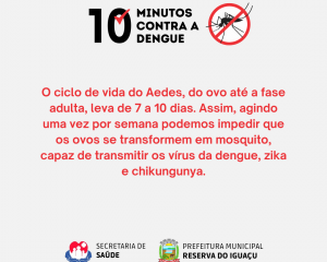 10-minutos-contra-a-dengue-2.png