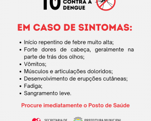 10-minutos-contra-a-dengue-3.png