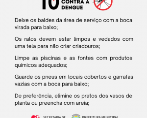 10-minutos-contra-a-dengue.png