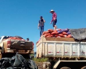 com-auxilio-do-programa-viver-no-campo-produtores-rurais-entregam-safra-de-pepino-e-trazem-renda-para-o-comercio-local-i.jpg