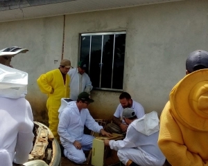 curso-de-apicultura-ofertado-na-comunidade-nossa-senhora-de-fatima-v.jpg