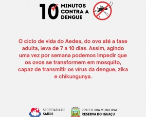 dengue-4.jpg