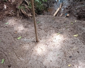 secretaria-de-meio-ambente-e-desenvolvimento-sustentavel-implanta-centros-de-compostagem-em-escolas-no-dia-da-agua.jpg