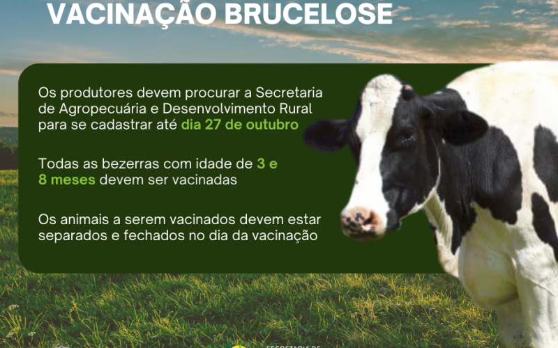 VACINAÇÃO BRUCELOSE