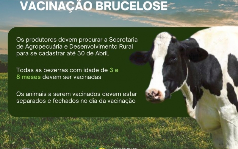 VACINAÇÃO BRUCELOSE