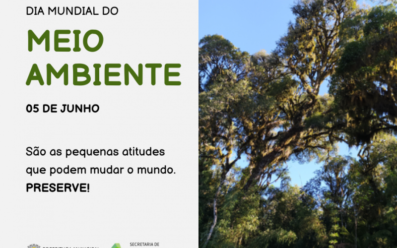 05 DE JUNHO: DIA MUNDIAL DO MEIO AMBIENTE